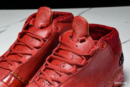 Hyperoad Chicago Jordan 23 1210